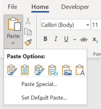 A screenshot of the Microsoft Word interface under the "Home" tab, showing the "Paste" button highlighted. A dropdown menu labeled "Paste Options" displays icons for various paste formats: Keep Source Formatting, Merge Formatting, Picture, and Keep Text Only. Below these are options for "Paste Special..." and "Set Default Paste...".