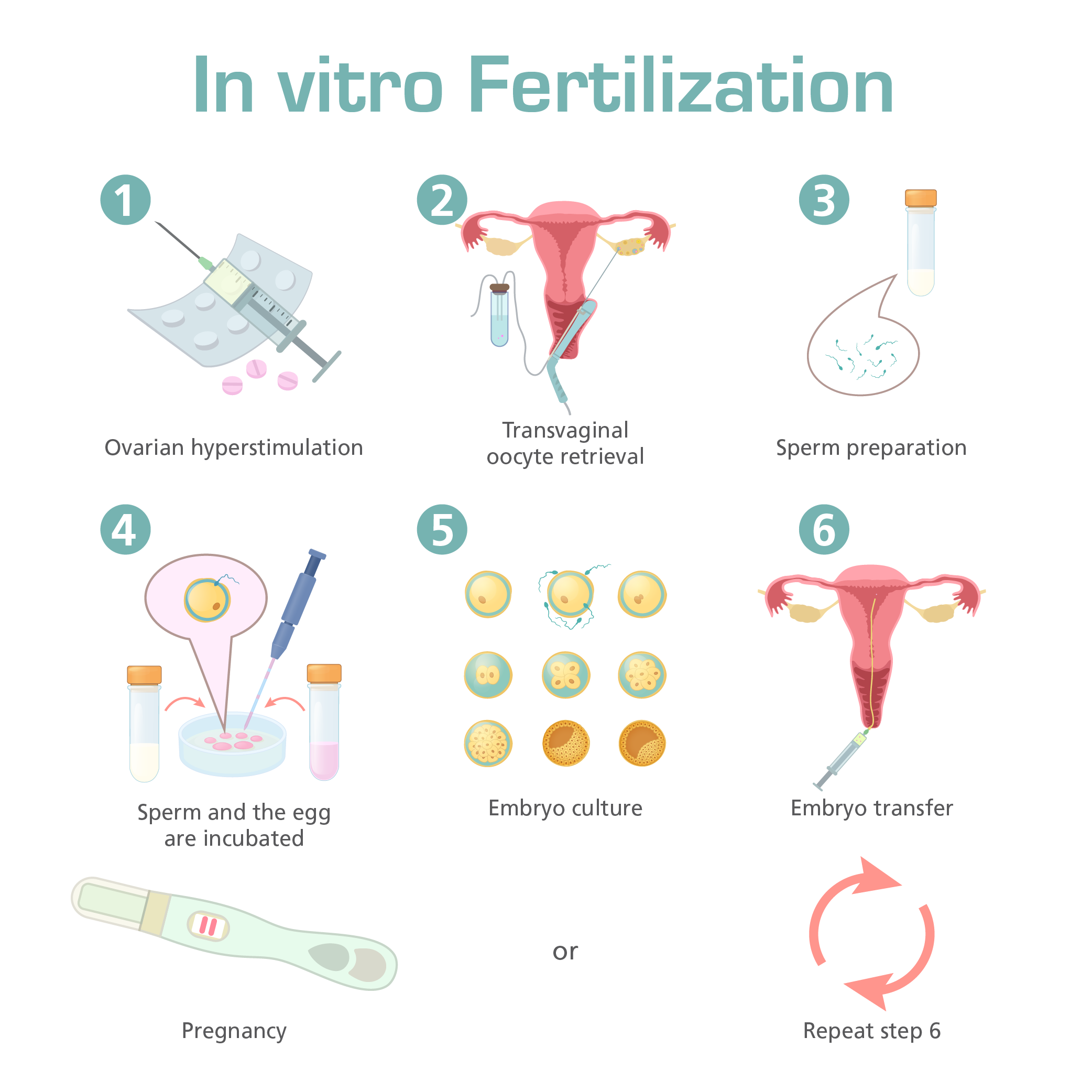 Obstetrics Medical Terminology 