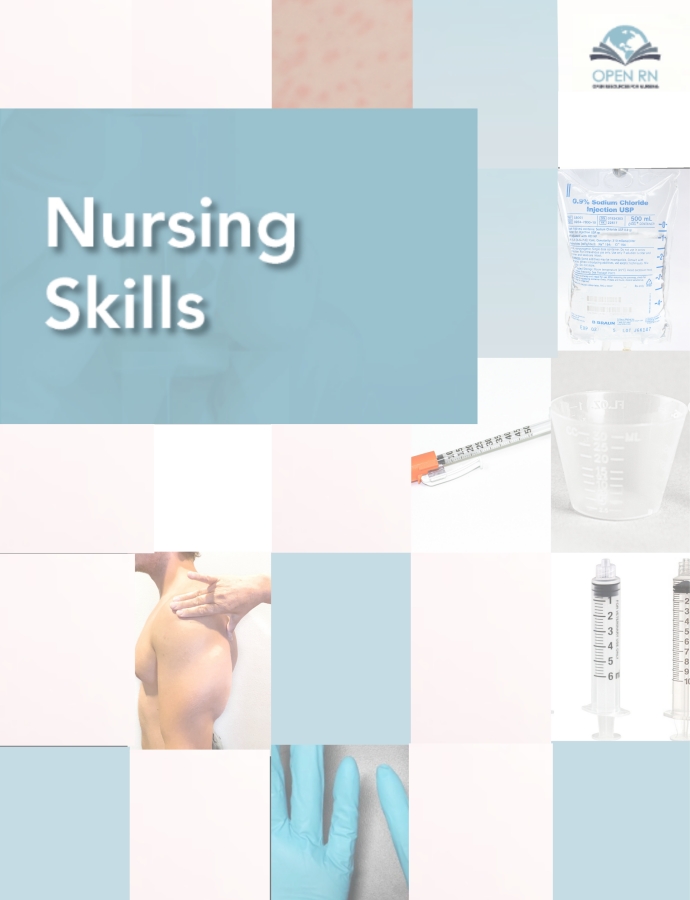 Cover image for Nursing Skills (Nicolet College)