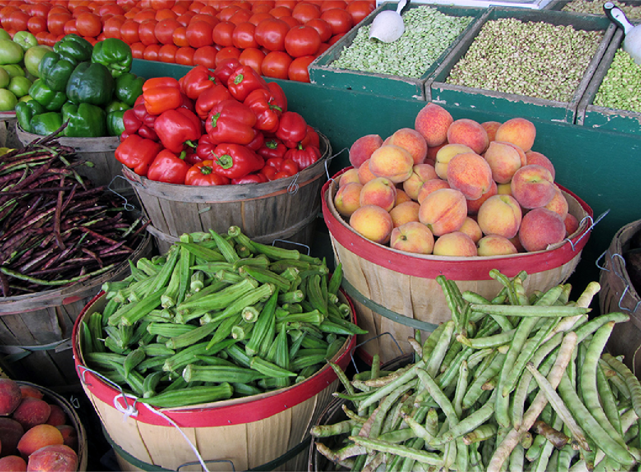 Photo: buckets of vegetables