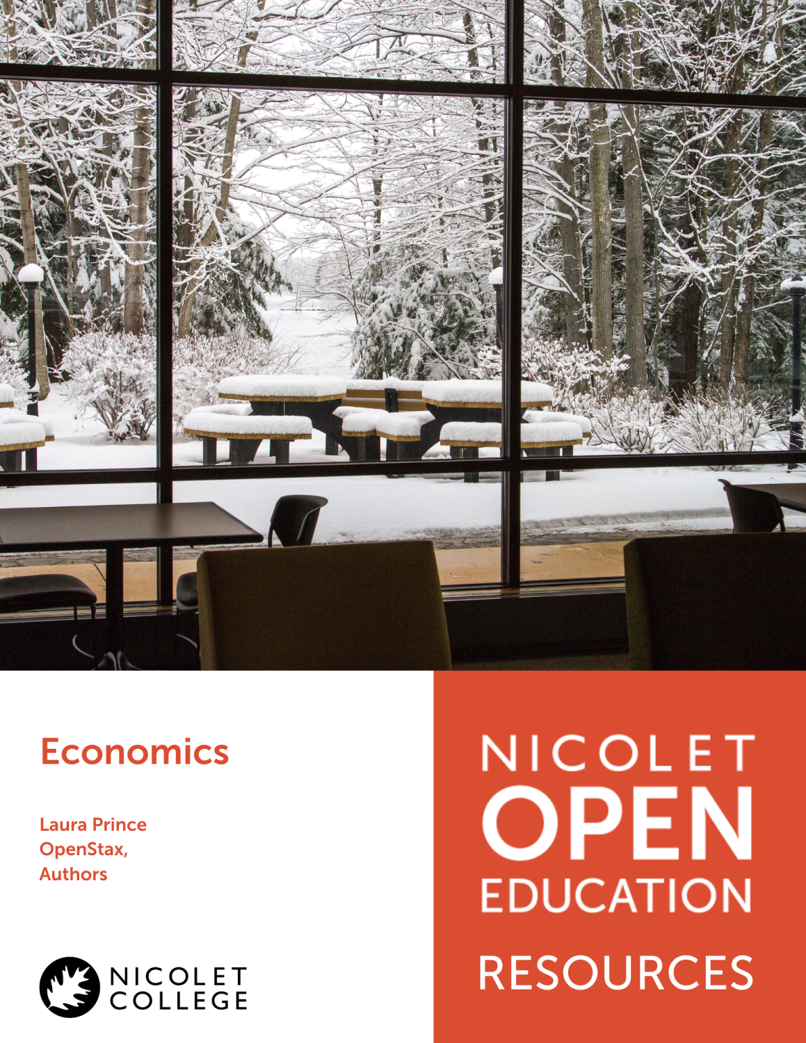 Cover image for Economics