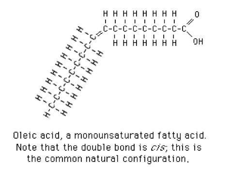 Oleic acid. Long description available.