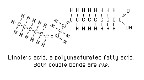 Linoleic acid. Long description available.