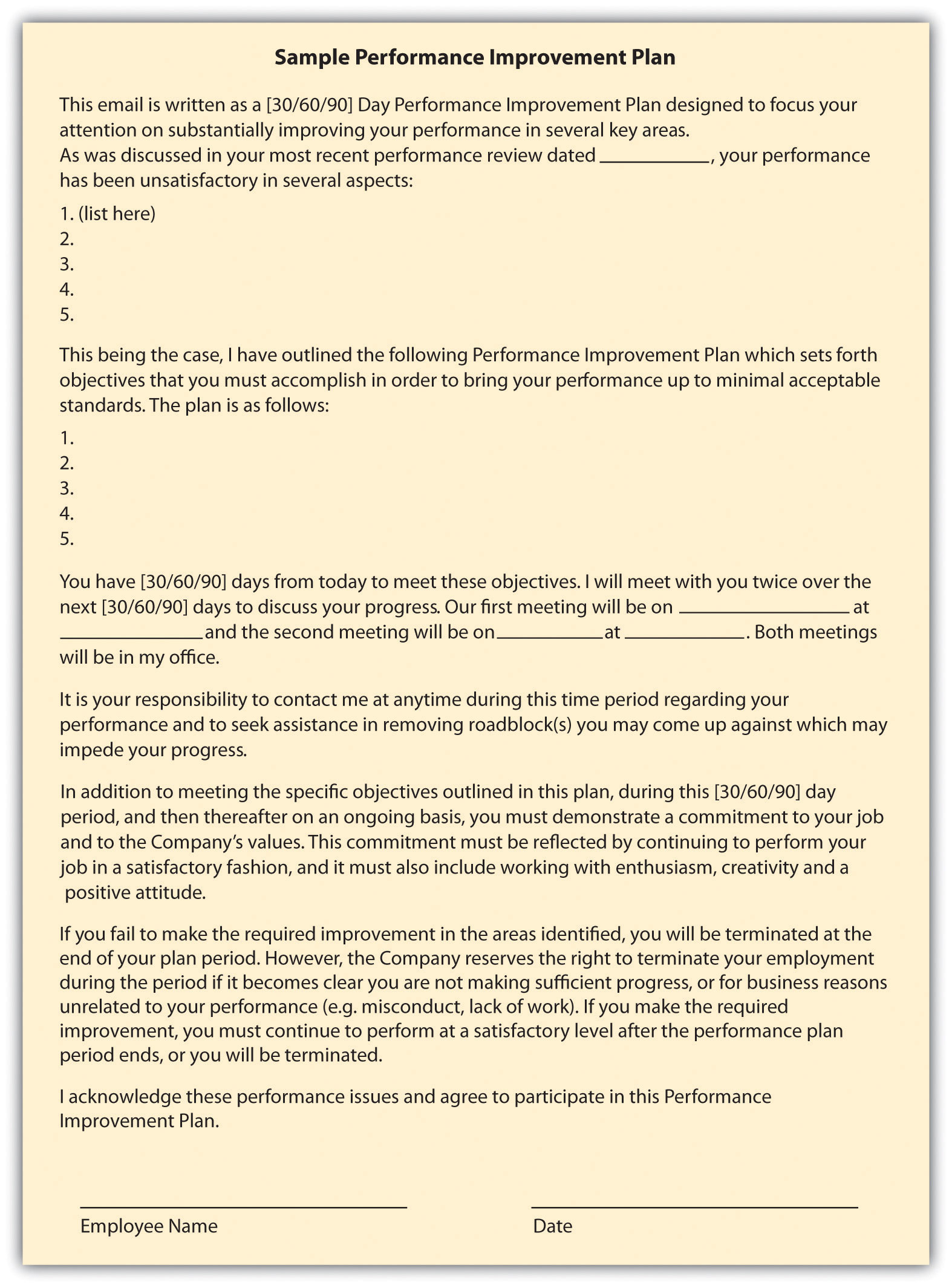 Sample of a Performance Improvement Plan