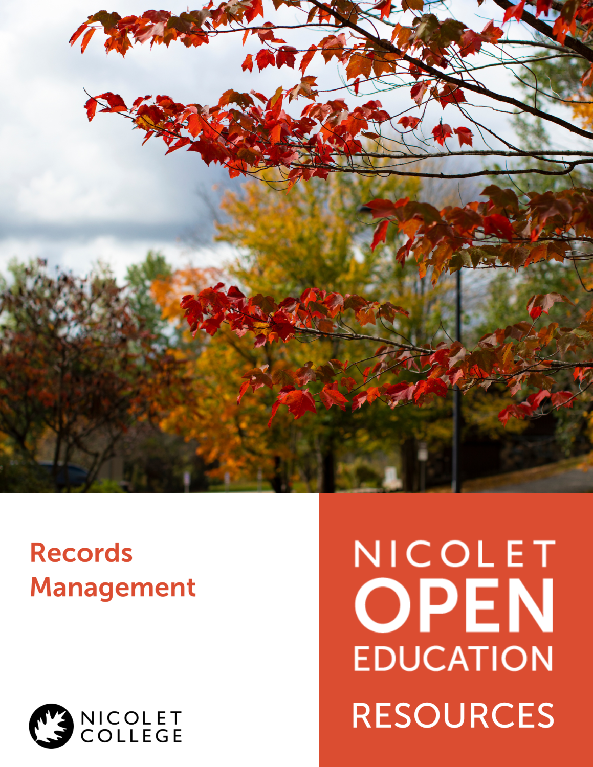 Cover image for Records Management