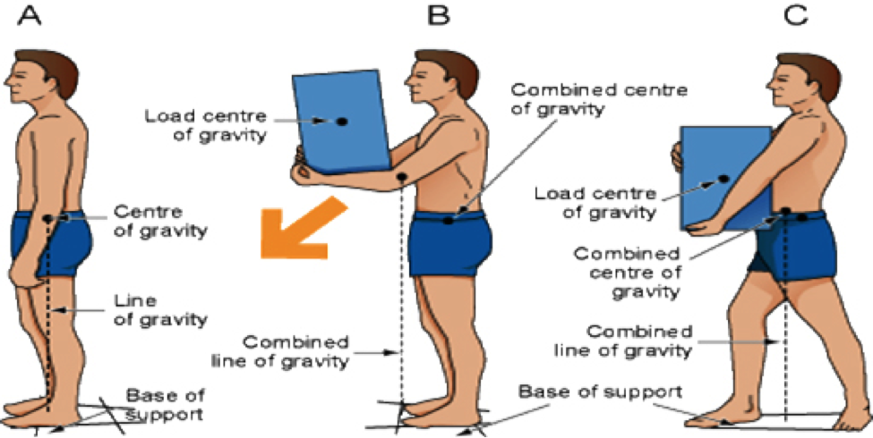 Illustration of three figures demonstrating center of gravity, with textual labels