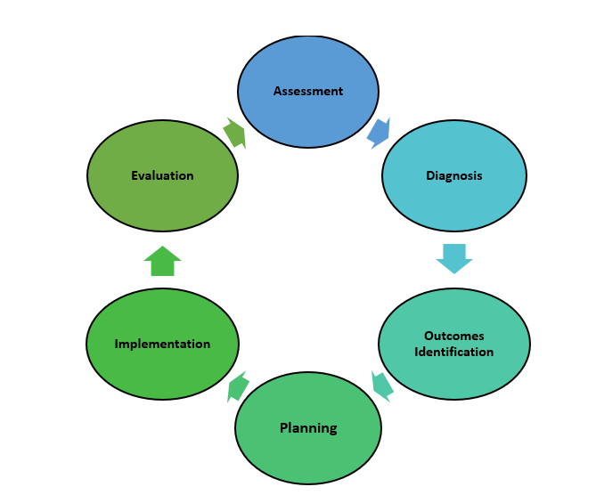 Illustration showing the nursing process workflow, with text labels