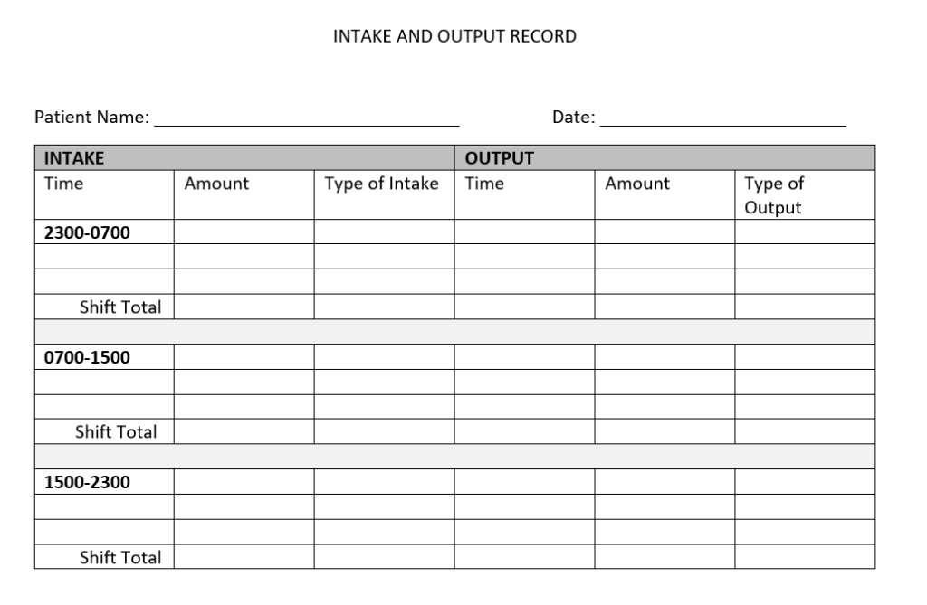 Image of a sample intake and output record
