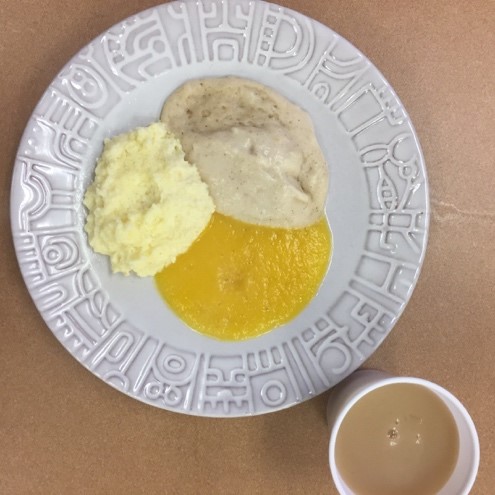 Photo showing a plate of food that has been altered to a pureed texture