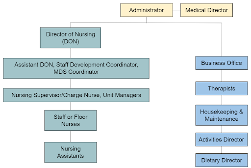 Diagram showing hierarchal organization of a L T C