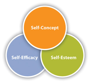 "A Venn diagram consisting of three overlapping circles. The top circle is orange and labeled 'Self-Concept.' The bottom left circle is blue and labeled 'Self-Efficacy.' The bottom right circle is green and labeled 'Self-Esteem.'"