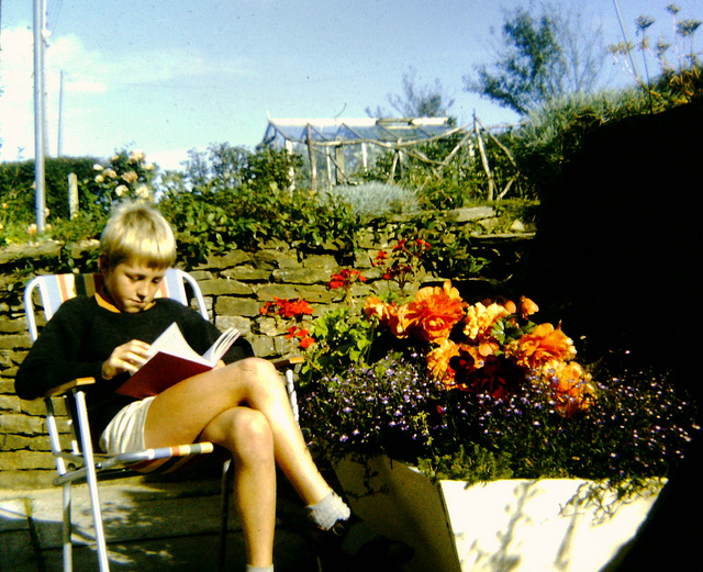 "A person with a blurred face is sitting on a striped lawn chair outdoors, reading a book. The person is wearing a light-colored shirt and shorts. The background features a stone wall with vibrant red and orange flowers, green plants, and a clear blue sky. There is also a greenhouse structure visible in the distance behind the stone wall."