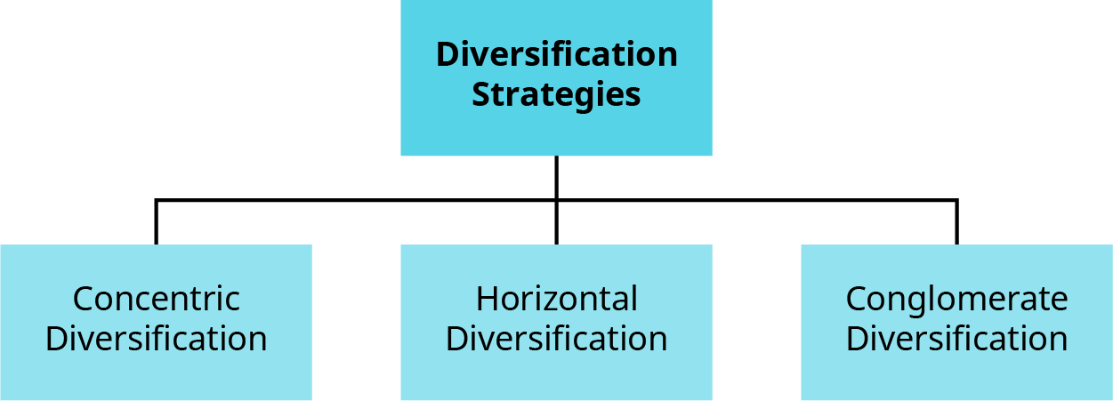 A simple flowchart illustrating three types of diversification strategies. The top box is labeled “Diversification Strategies” and branches downward into three categories: Concentric Diversification Horizontal Diversification Conglomerate Diversification