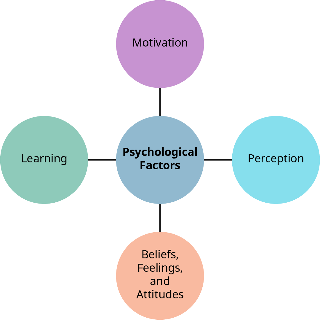 A central blue circle labeled "Psychological Factors" is connected to four surrounding colored circles representing its components: Top: Motivation (purple) Right: Perception (light blue) Bottom: Beliefs, Feelings, and Attitudes (peach) Left: Learning (green)* The diagram highlights key psychological influences on consumer behavior.