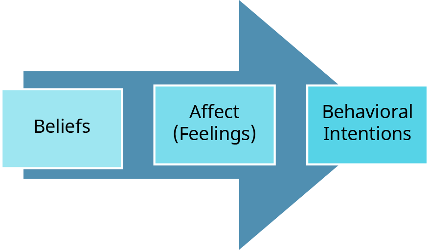 A horizontal arrow diagram showing the progression of attitude formation. The arrow contains three labeled boxes from left to right: Beliefs – representing what a person thinks or knows about something Affect (Feelings) – representing emotional responses or attitudes Behavioral Intentions – representing the likelihood of taking action or behavior based on beliefs and feelings* The arrow indicates a sequential flow from beliefs to feelings to behavioral intentions
