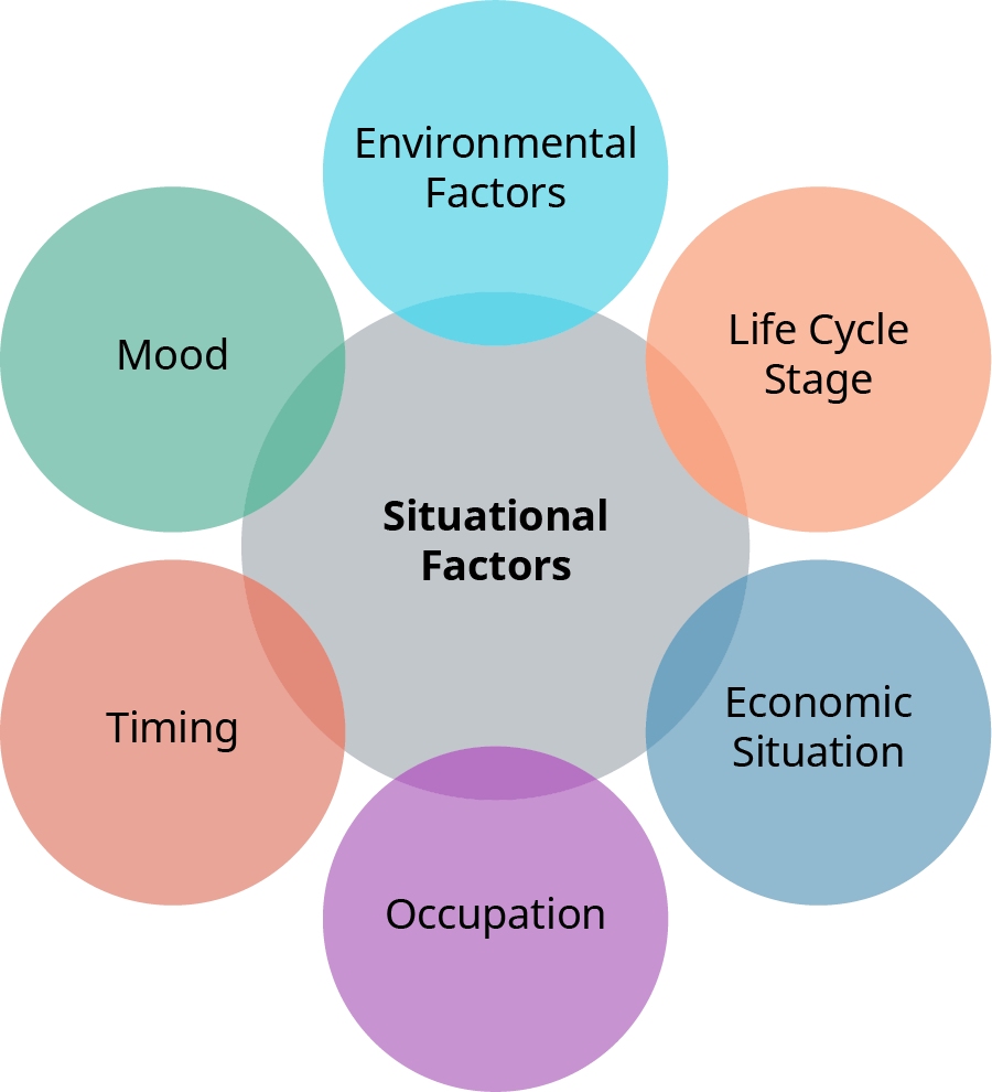 A diagram illustrating situational factors affecting decision-making. The central gray circle is labeled 'Situational Factors,' with six surrounding circles connected to it. These circles are labeled: 'Environmental Factors' (blue), 'Life Cycle Stage' (orange), 'Economic Situation' (blue), 'Occupation' (purple), 'Timing' (orange), and 'Mood' (green).