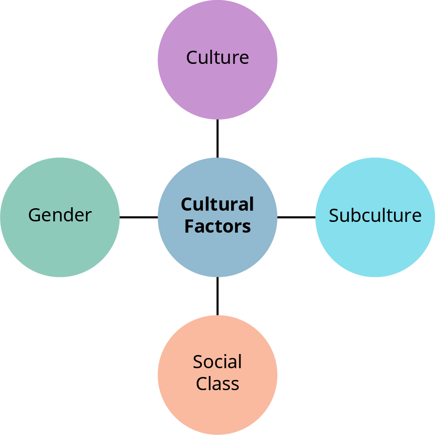A central circle labeled "Cultural Factors" is connected to four surrounding circles representing components of cultural influence: Top: Culture (purple) Right: Subculture (light blue) Bottom: Social Class (peach) Left: Gender (green)* The diagram visually presents the key elements that make up cultural factors in consumer behavior.