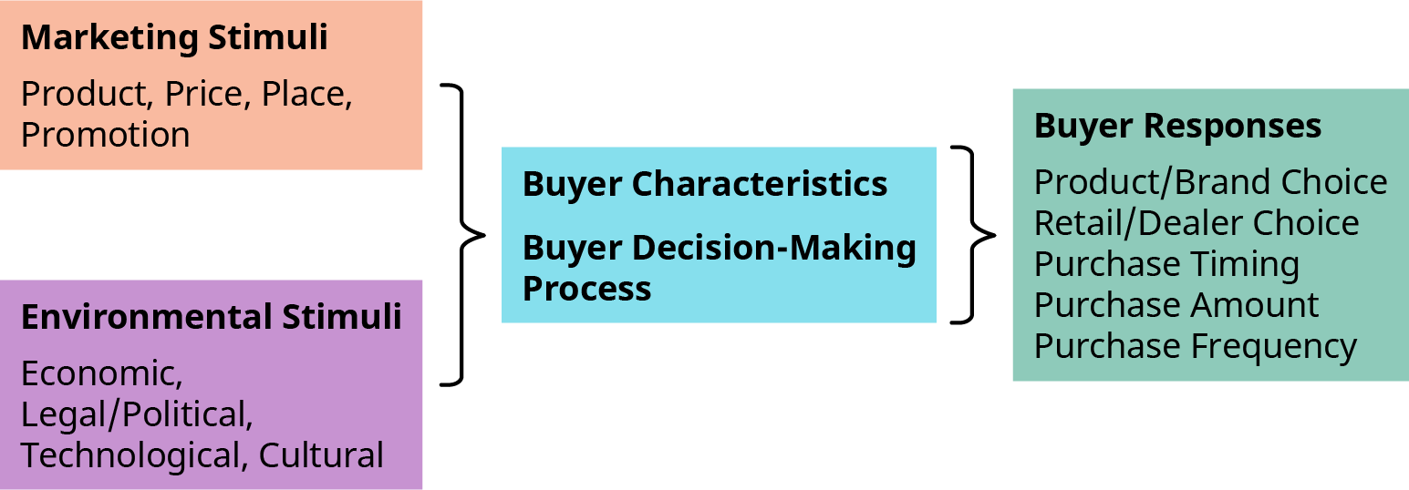 A flow diagram showing the buyer decision-making process. The diagram is divided into three main parts: Input Stimuli (Left side): Marketing Stimuli (orange): Product, Price, Place, Promotion Environmental Stimuli (purple): Economic, Legal/Political, Technological, Cultural Processing Stage (Center – blue): Buyer Characteristics Buyer Decision-Making Process Output (Right side – green): Buyer Responses Product/Brand Choice Retail/Dealer Choice Purchase Timing Purchase Amount Purchase Frequency The arrows indicate the flow from stimuli, through the buyer’s internal processing, to their final purchasing responses.