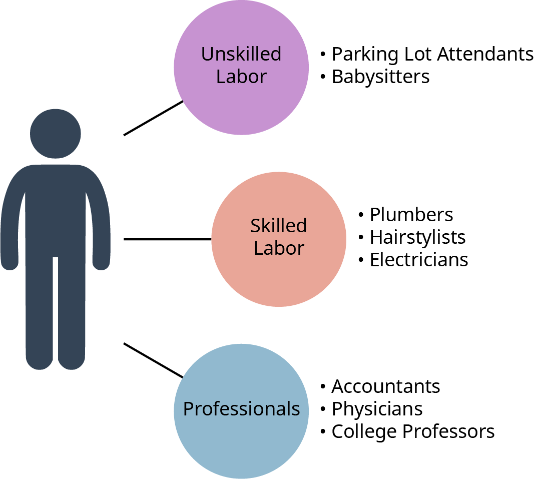 A diagram categorizing different types of labor into three groups: Unskilled Labor, Skilled Labor, and Professionals. The diagram features a human figure on the left, with three labeled circles connected to it by lines. The Unskilled Labor category, represented by a purple circle, includes Parking Lot Attendants and Babysitters. The Skilled Labor category, represented by a peach-colored circle, includes Plumbers, Hairstylists, and Electricians. The Professionals category, represented by a blue circle, includes Accountants, Physicians, and College Professors.
