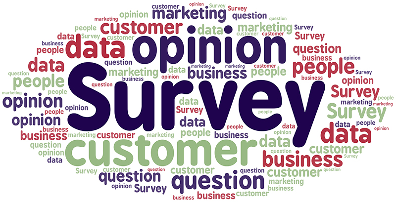 A word cloud with the largest and most prominent word being 'Survey,' surrounded by various related terms in different sizes and colors. Other notable words include 'opinion,' 'customer,' 'data,' 'business,' 'question,' 'marketing,' and 'people.' The words are arranged in a scattered pattern, with varying font sizes to indicate frequency or importance. The colors used are shades of purple, green, red, and blue.