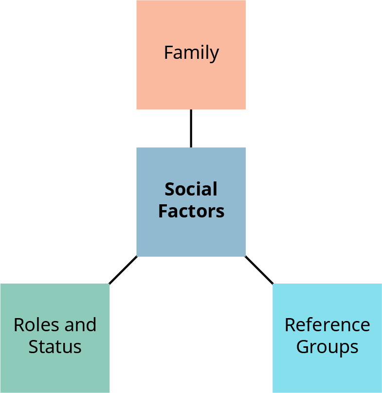 A diagram titled "Social Factors" shown in a central blue square, connected to three surrounding boxes representing its components: Top: Family (peach) Bottom left: Roles and Status (green) Bottom right: Reference Groups (light blue)* The diagram highlights key social influences on consumer behavior.