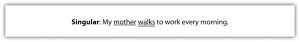"The image shows a sentence demonstrating the use of a singular subject. The sentence reads, 'Singular: My mother walks to work every morning.'"