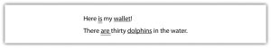 "The image contains a white rectangular box with two sentences written in black text. The first sentence reads, 'Here is my wallet!' The second sentence reads, 'There are thirty dolphins in the water.'"