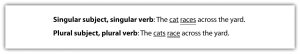 "The image contains two sentences demonstrating the use of singular and plural subjects with their corresponding verbs. The first sentence reads, 'Singular subject, singular verb: The cat races across the yard.' The second sentence reads, 'Plural subject, plural verb: The cats race across the yard.'"