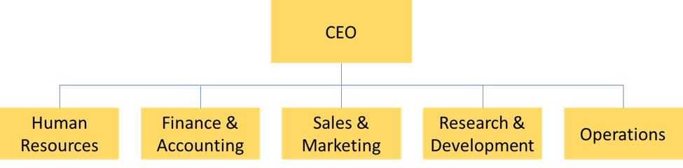 Example of a functional structure organizational chart. The CEO is on the top and has 5 areas reporting to them.